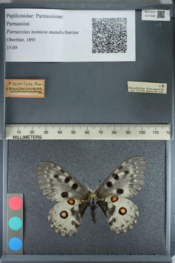 Media type: image;   Entomology 175008
